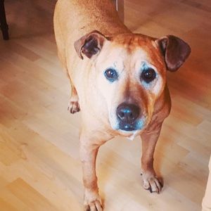 Meet your Posher, Jack